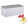 Seconds Paintballs - 2000 Rounds
