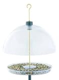 Dorothy Cardinal Feeder