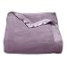 Silk Plush Blanket