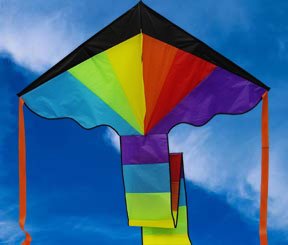 Childrens Toyshop  Toys : Giant Delta Rainbow Flyer
