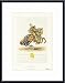 Knights and Armour, Art Poster by Samuel Rush Meyrick, with Metal Frame, poster size: 12 x 16