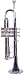 Lauren Beginner Trumpet Outfit - Silver-plated