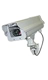 Simulated Weather Resistant Surveillance Security Cameras