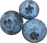 Wild Blueberry Muffin & Scone Mix