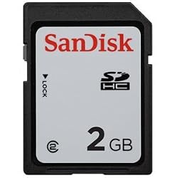 SanDisk 2GB SD Memory Card (SDSDB-2048, Bulk Package)