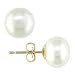14K Yellow Gold 6-7mm Cultured Freshwater Pearl Stud Earrings