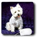 Dogs West Highland Terrier - Westie - Mouse Pads