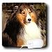 Dogs Sable Border Collies - Sable Border Collie - Mouse Pads