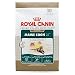 maine coon - Royal Canin Feline Breed Nutrition Maine Coon 31- net wt. 3 lbs.