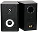 M2i Bookshelf Speaker - Black Oak
