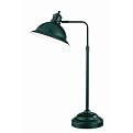 Adjustable Metal Desk Lamp