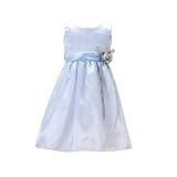 Flower Girl Dress - Light Blue Satin Bodice with Organza Skirt (2T,4T, 6)