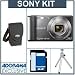 Sony Cyber-shot DSC-W370 Digital Camera Kit, - Silver -with 4GB SD Memory Card, Camera Case, Table Top Tripod