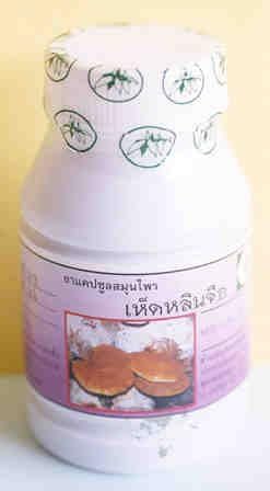 DOK DEE Plee : Lingzhi Capsule ( Bottle of 50 Capsules )