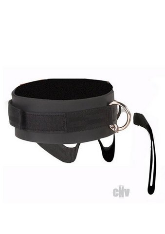 Neoprene Leash and Collar