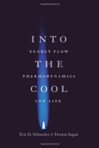into the cool energy flow thermodynamics and life