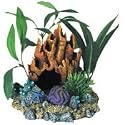 Coral Floral Cave with Plants