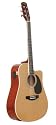 Johnny Brook Electro-Acoustic Guitar with Tone Control Natural, Natural