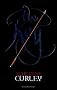 The Key (Guardians of Time Trilogy)