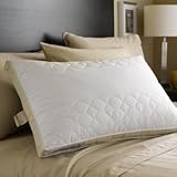 IMAGE OF Sealy Posturepedic® Excell Down & Feather Pillow - Queen - Soft