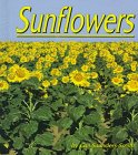 Sunflowers (Plants: Life Cycles) (Pebble Books)