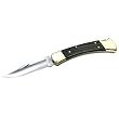 Buck 110 Folding Hunter, Lockback Folding Knife