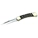 Buck 110 Folding Hunter, Lockback Folding Knife