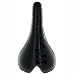 311QFfGBcFL. SL75  Fizik Aliante