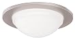 Halo 5054SNS 5-Inch Glass Dome Shower Light Trim, Satin Nickel