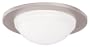 Halo 5054SNS 5-Inch Glass Dome Shower Light Trim, Satin Nickel