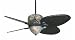 Fanimation Belize Fan, Clear/Frosted Housing Traditional Ceiling Fans FP2920CF