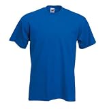 Fruit of the Loom Heavy Cotton T in Royal Size L (SA101) [Apparel]