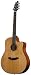 Breedlove Atlas Solo D350/CM Acoustic Electric Guitar