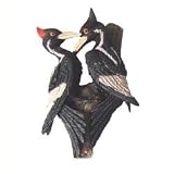 Ivory- Billed Woodpecker Magnet