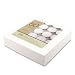 Northern Lights Candles 50-pc. 6 Hour Long-Burning Tealights