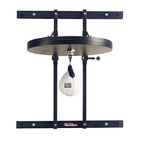 Pro Speed Bag/ Heavy Bag Wall Mount - 500