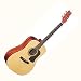 Washburn D10S Acoustic Guitar - Left Handed