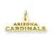 14K Arizona Cardinals Large Team Name Charm