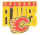 Hockey Pin - Calgary Flames Shield Pin