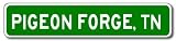 PIGEON FORGE, TENNESSEE City Limit Sign - Aluminum - 4 x 18 inches