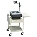 Apollo Steel Overhead Projector Cart, 29in.H x 22in.W x 20in.D, Putty