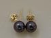 6.5mm Peacock Black Akoya Pearl Classic Stud Earrings 14k Yellow Gold Image