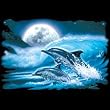 Moon Dolphins Womens Scoop Neck T-Shirt