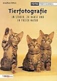 Tierfotografie. Im Studio, zu Hause und in freier Natur - Jonathan Hilton
