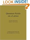 Quantum Fields on a Lattice (Cambridge Monographs on Mathematical Physics)