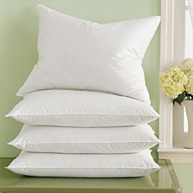 Marriott Pacific Coast Down Surround Standard 