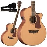 Musical Instruments : F52SWCE Acoustic Electric Guitar