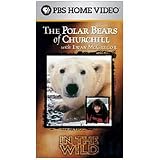 The Polar Bears of Churchill with Ewan McGregor