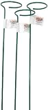 Bosmere E523 36-Inch Single Plant Stem Support with 3-Inch Hoop, 3-Pack