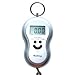 Silver Digital Luggage Scale 40kg, 88lb, 1410oz with Built in Temperature Thermometer